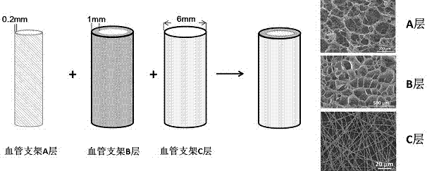 Polyamino acid-based elastic vascular tissue engineering scaffold and preparation method thereof