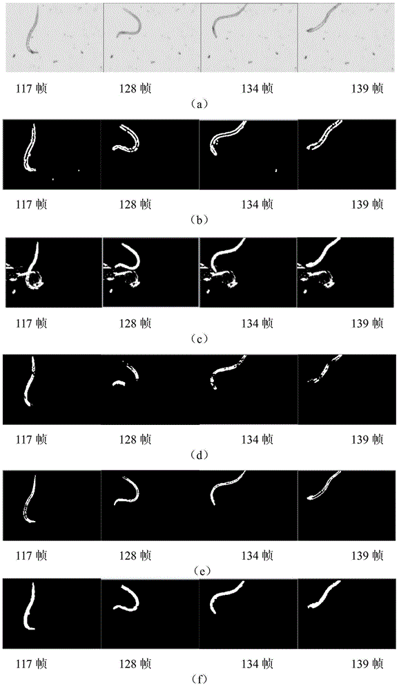 Automatic image detection method for moving microorganisms in sewage