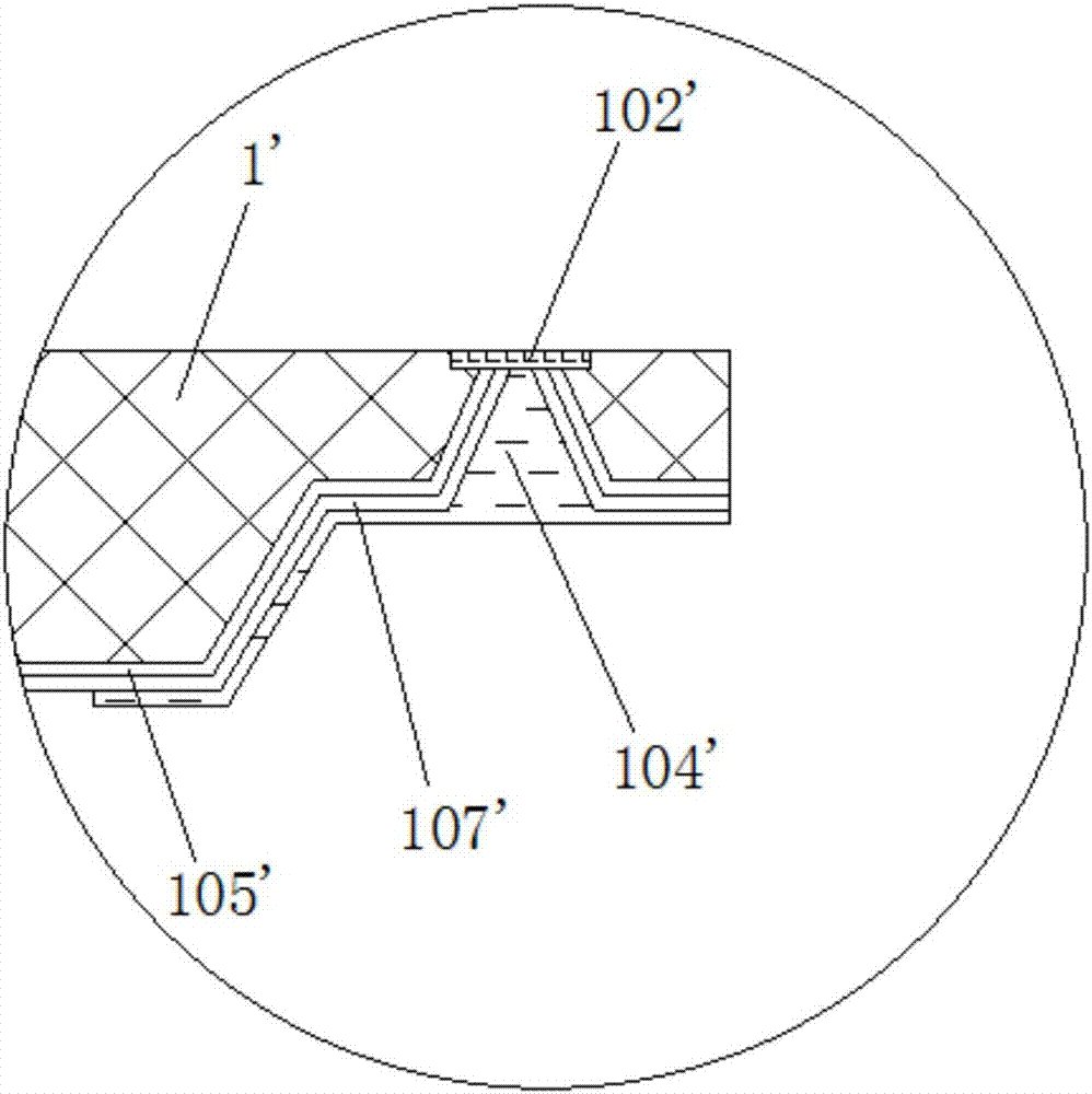 Package structure and packaging method of biometric chip