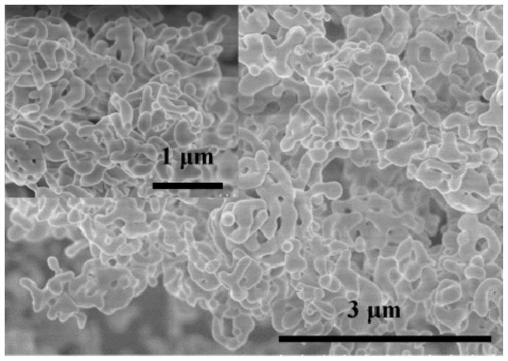 Cathode photoelectrochemical detection model of T4 polynucleotide kinase and application of cathode photoelectrochemical detection model