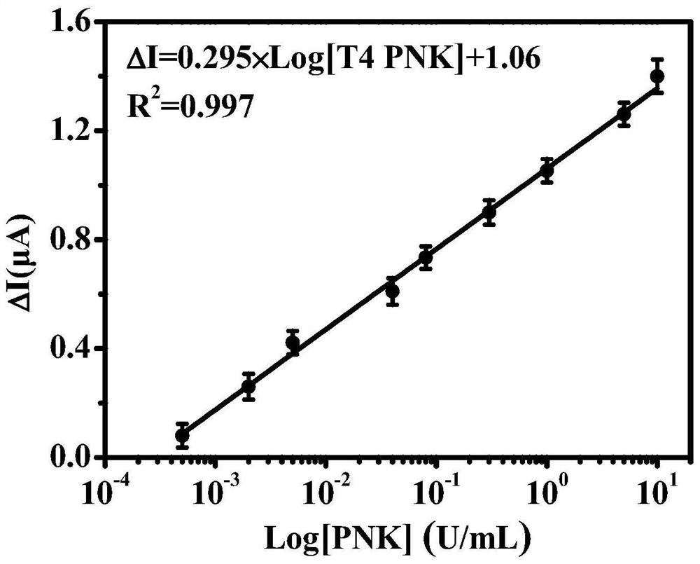 Cathode photoelectrochemical detection model of T4 polynucleotide kinase and application of cathode photoelectrochemical detection model