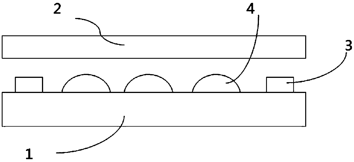 Display device and manufacturing method thereof