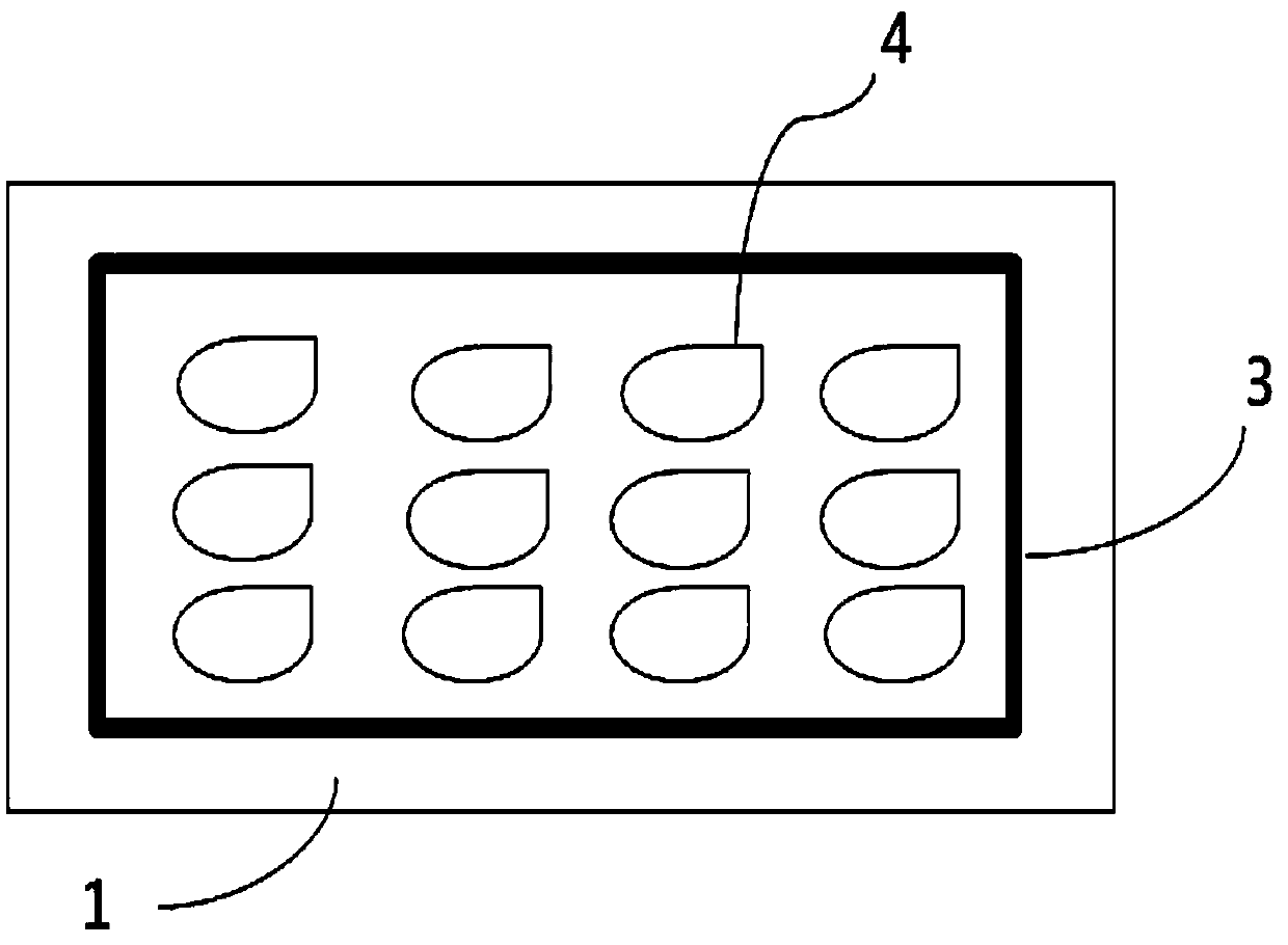 Display device and manufacturing method thereof