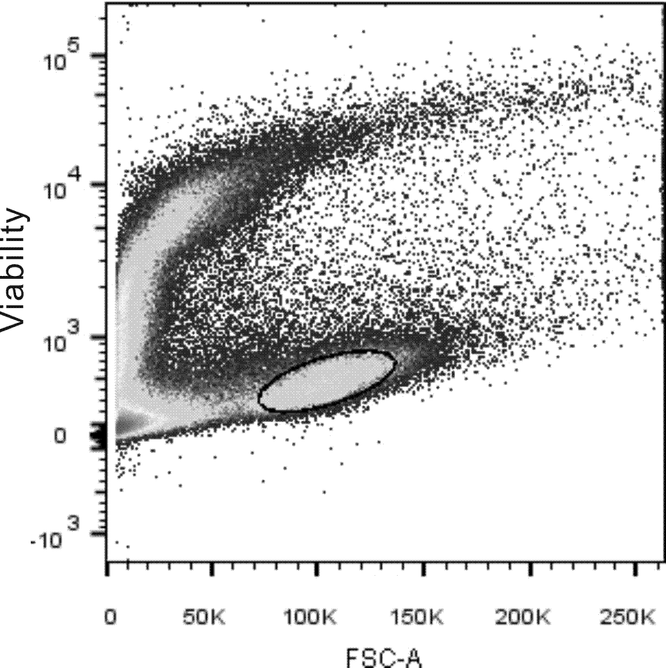 Detection method of decidual lymphocyte subset, kit and application of kit