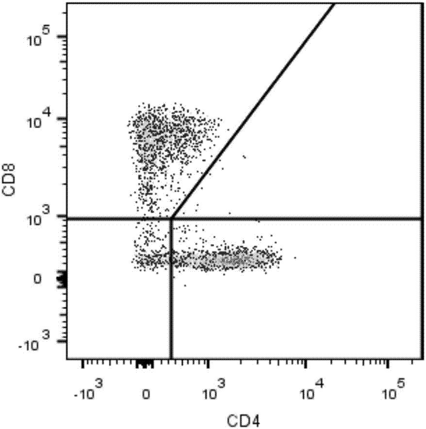 Detection method of decidual lymphocyte subset, kit and application of kit