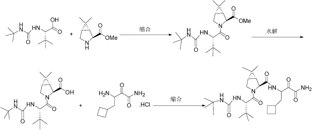 Intermediate ⅶ of anti-hepatitis C drug boceprevir and its preparation method and application