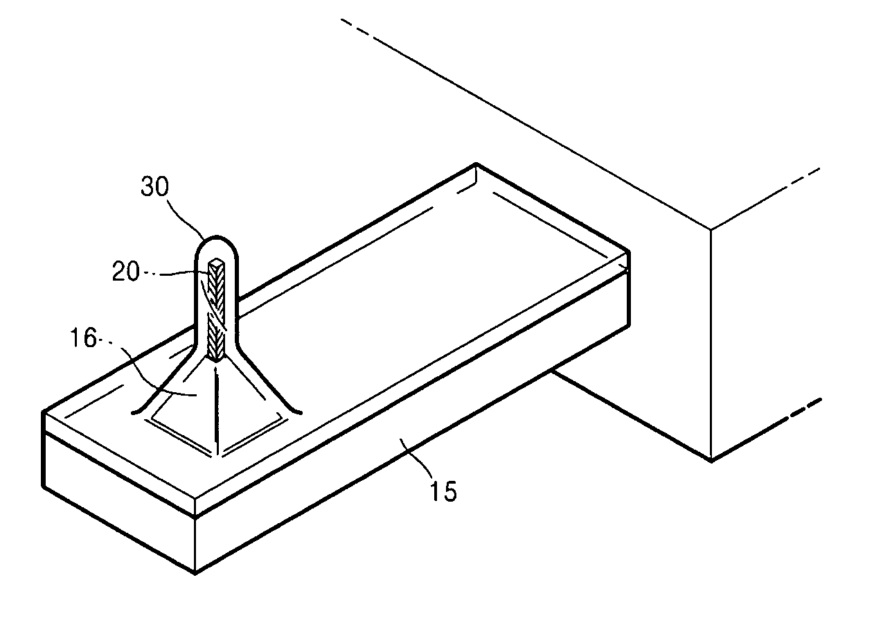 Conductive carbon nanotube tip, probe having the conductive carbon nanotube tip, and method of manufacturing the conductive carbon nanotube tip