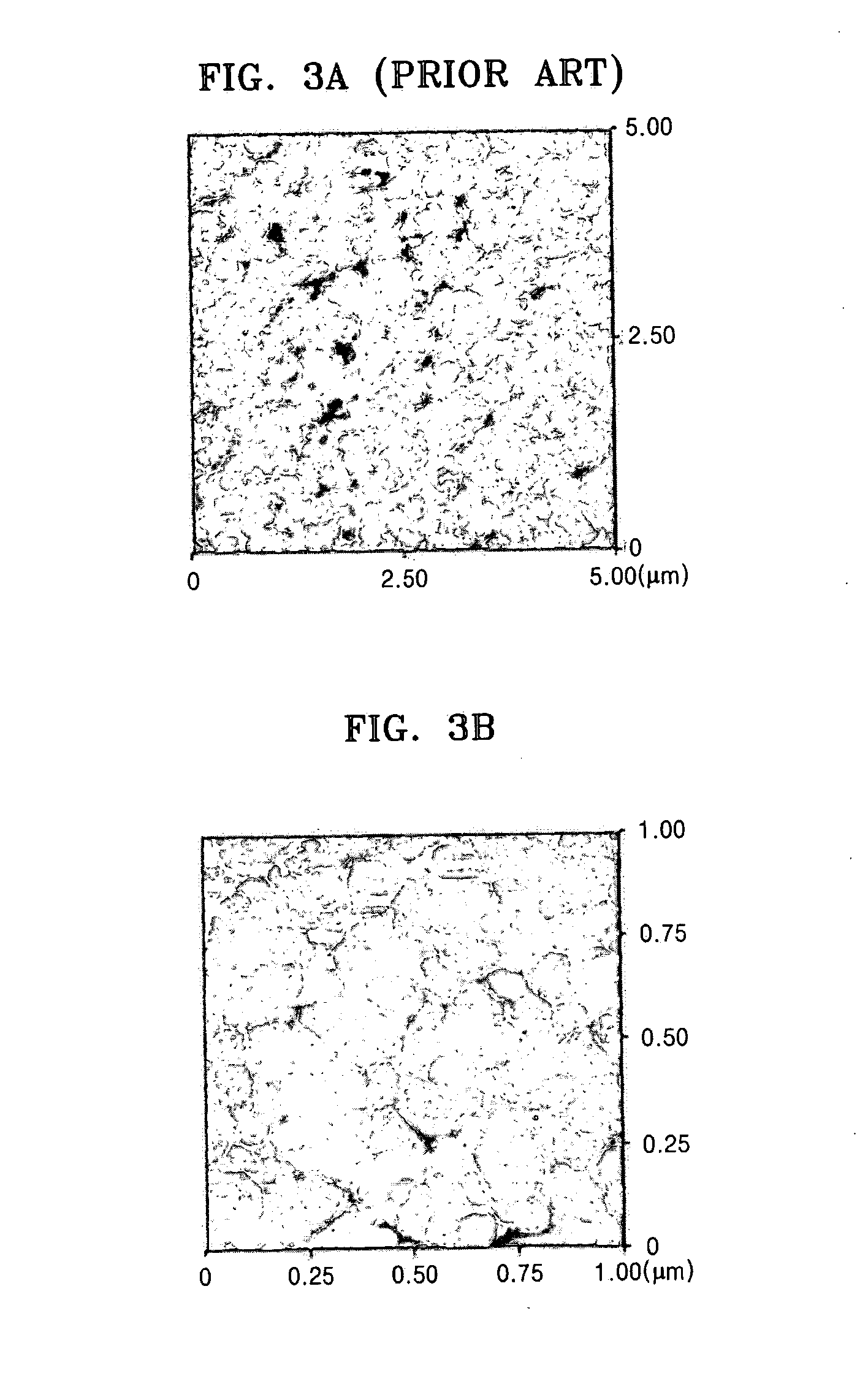 Conductive carbon nanotube tip, probe having the conductive carbon nanotube tip, and method of manufacturing the conductive carbon nanotube tip