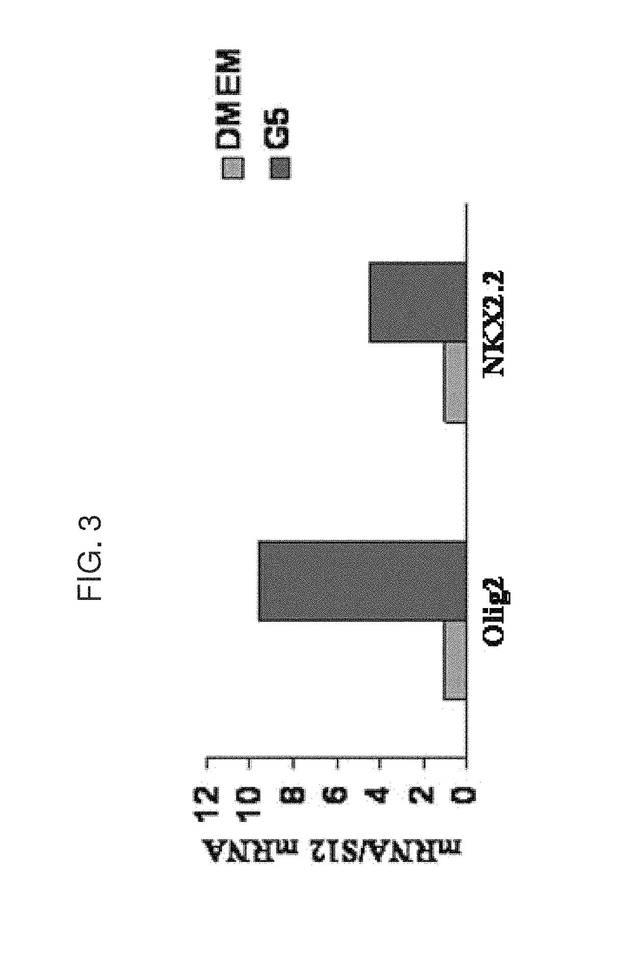 Methods of generating oligodendrocytes and cell populations comprising same