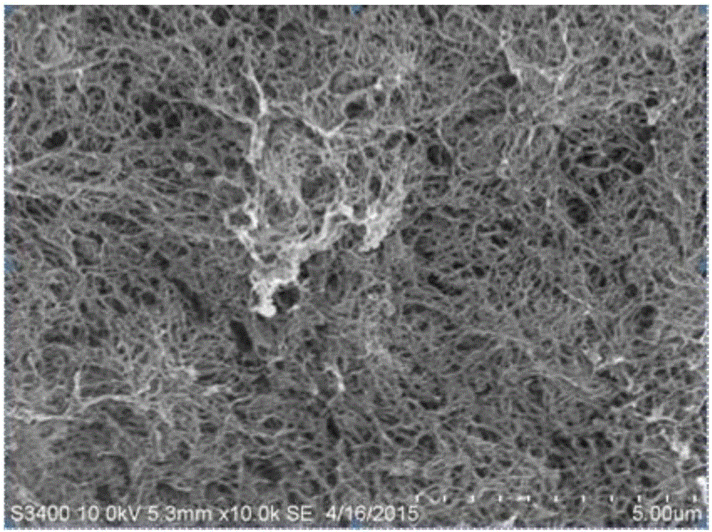 Method for preparing chitin nanofibers from waste crayfish shells