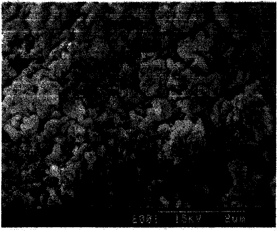 Method for separating magnesium from lithium and extracting lithium from brine