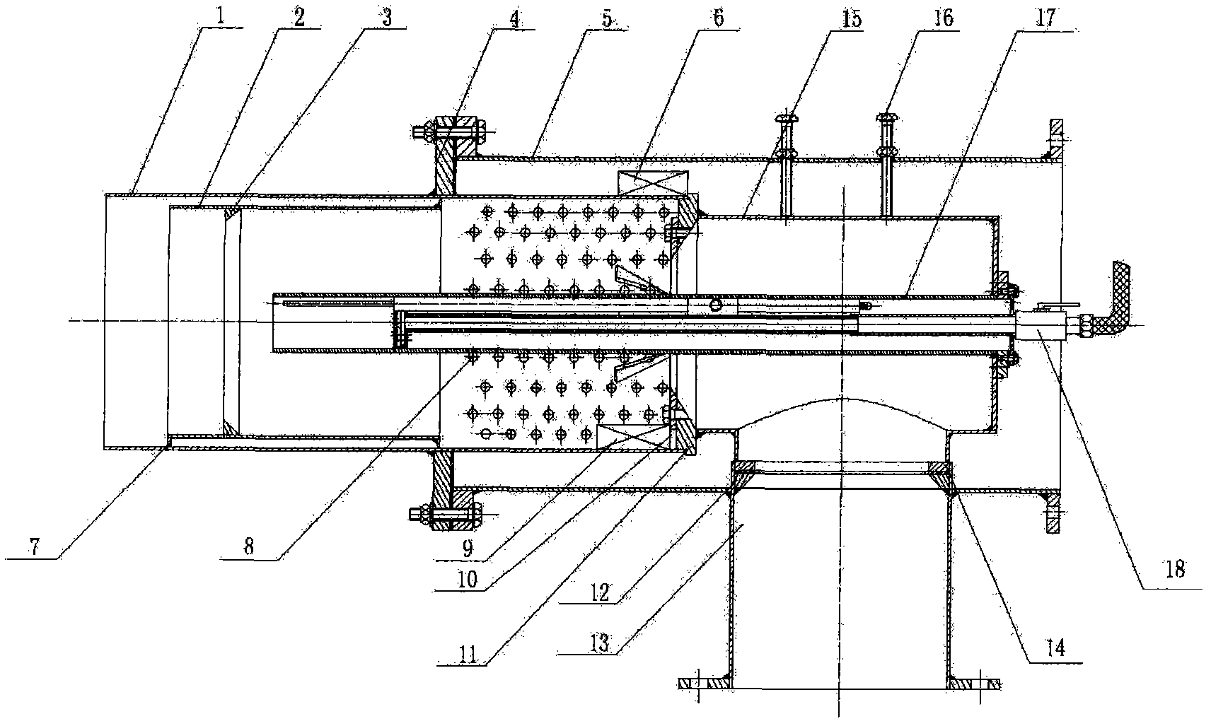 Biogas burner