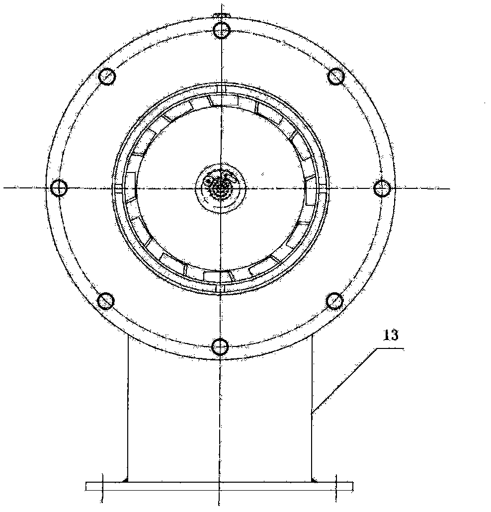 Biogas burner