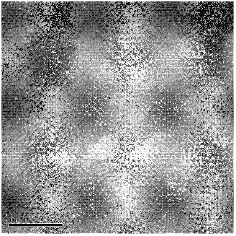 Preparation method of colossal magnetoresistance effect Fe-Ti-O amorphous film