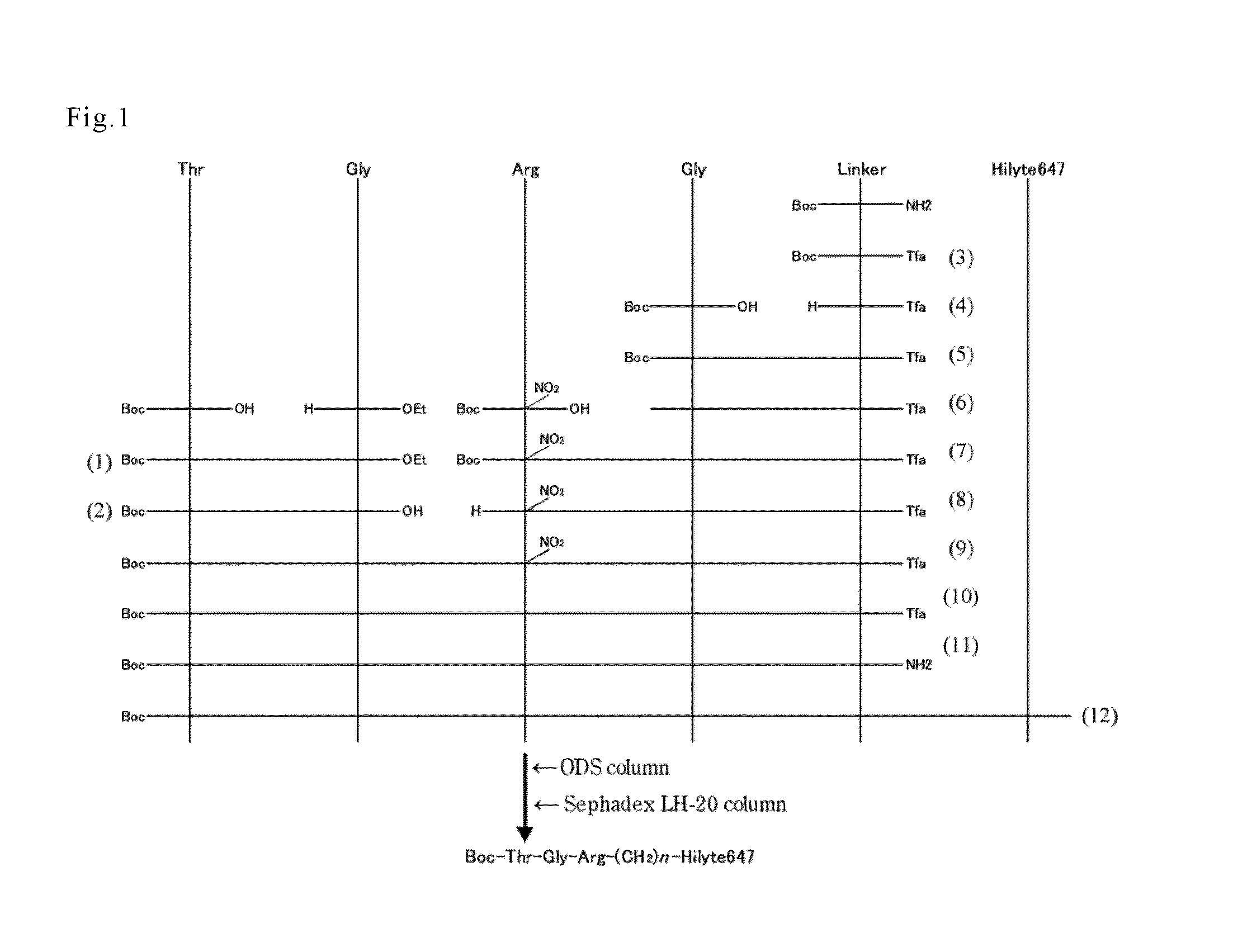 Substrate for assaying beta-glucan and/or endotoxin and assay method