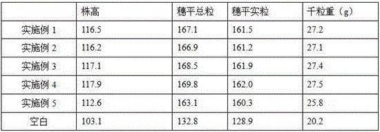 Pesticide-fertilizer granules comprising thiamethoxam