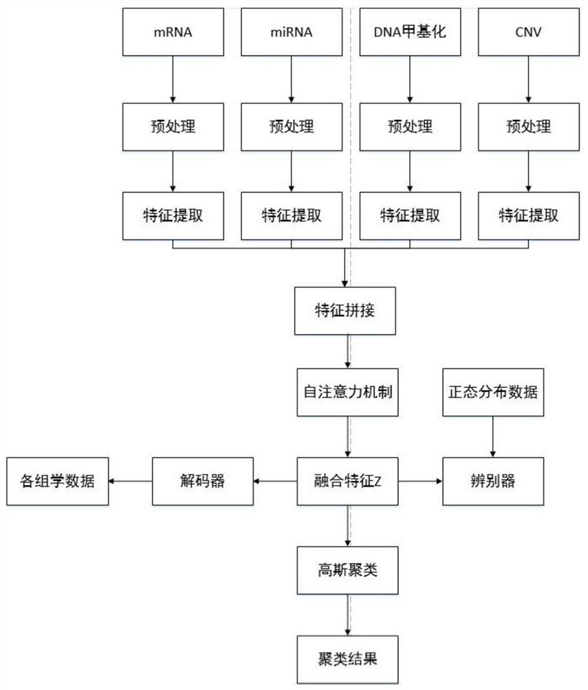 Cancer subtype identification method and system based on self-attention deep learning