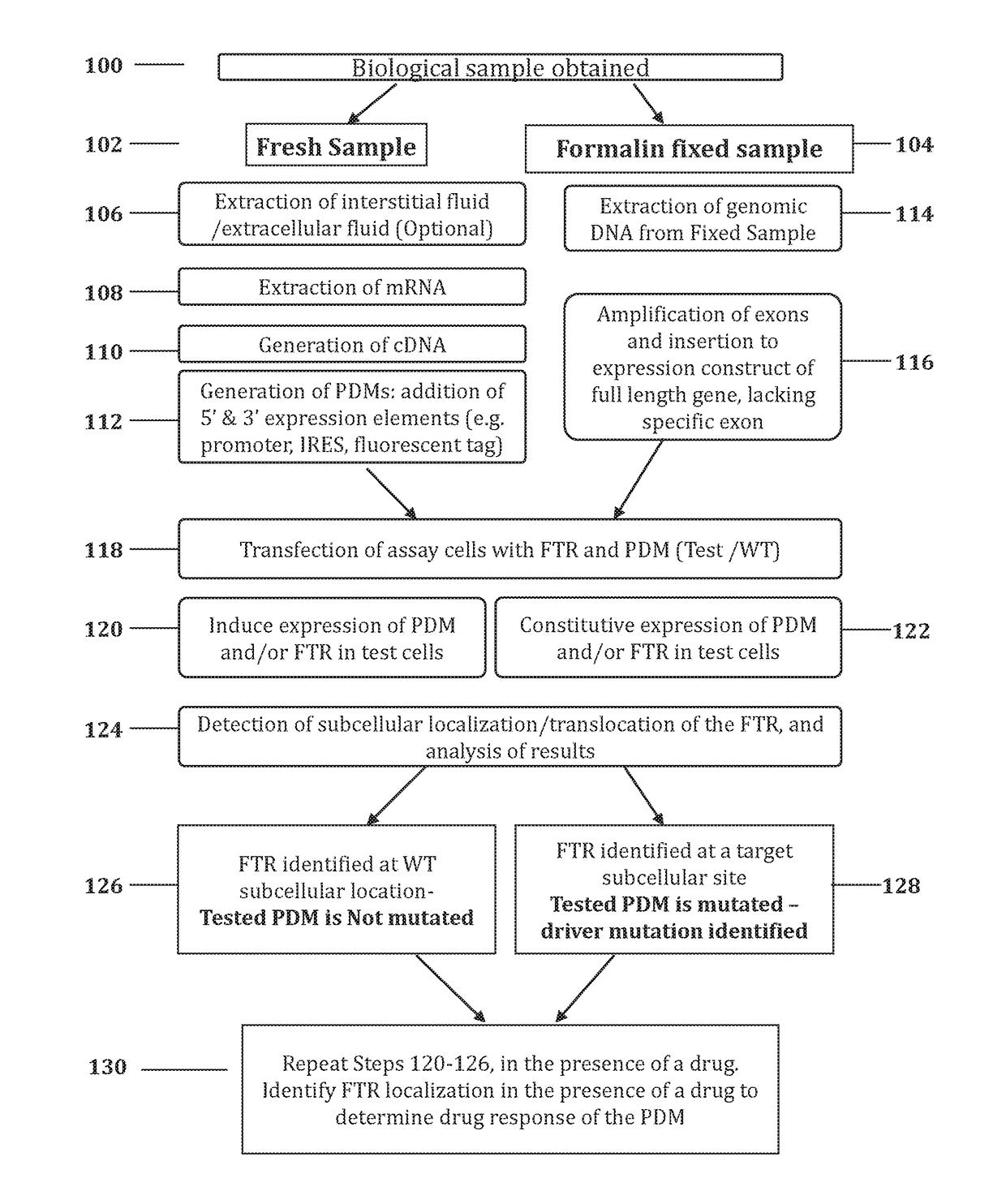 Methods for determining drug response of patient specific mutations