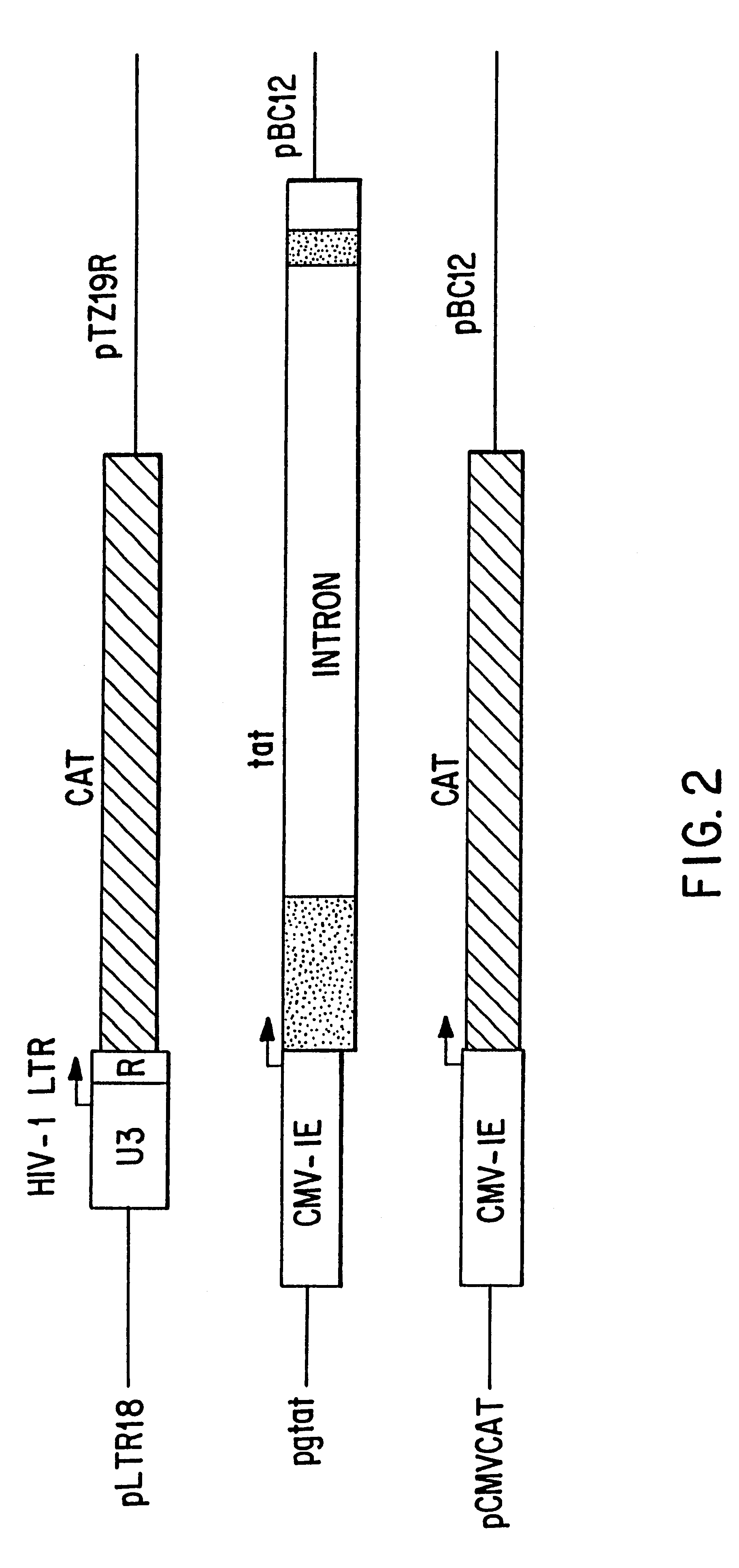 Suppressor of HIV-1 replication and transcription