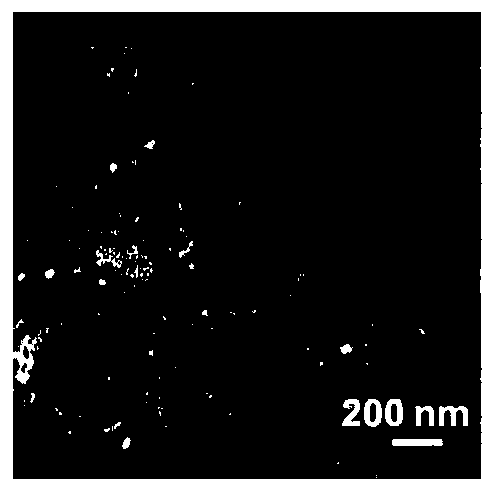 Nano vaccine and preparation method thereof