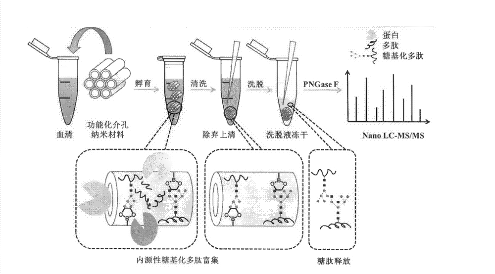 Method for high-selectivity enrichment of serum glycopeptides group