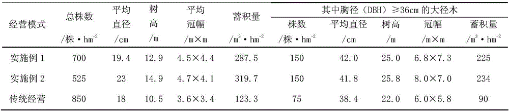 Method for cultivating seed and timber dual-purpose forest of quercus chenii