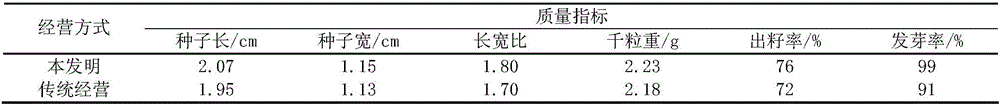 Method for cultivating seed and timber dual-purpose forest of quercus chenii