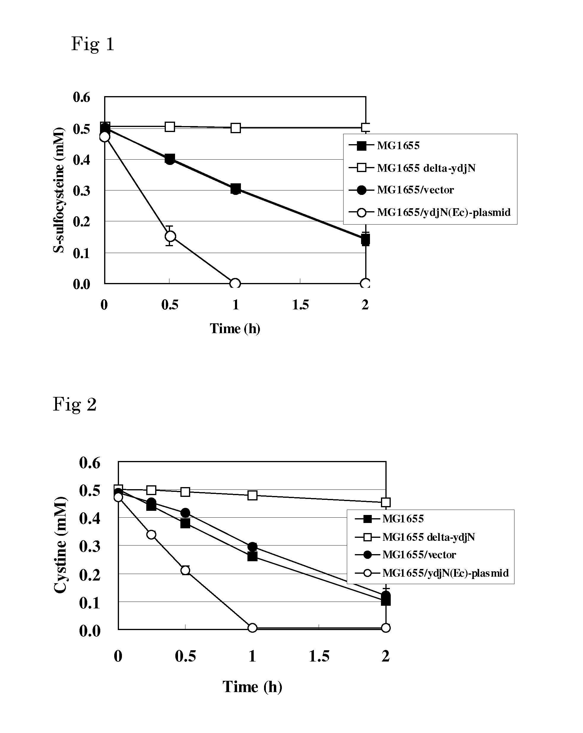 L-cysteine-producing bacterium and a method for producing l-cysteine