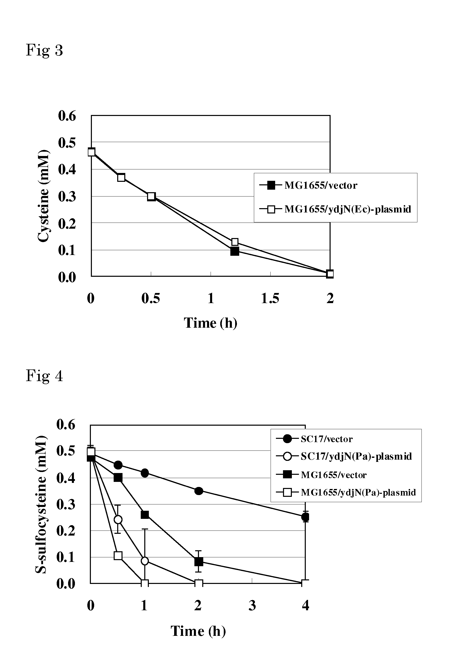 L-cysteine-producing bacterium and a method for producing l-cysteine