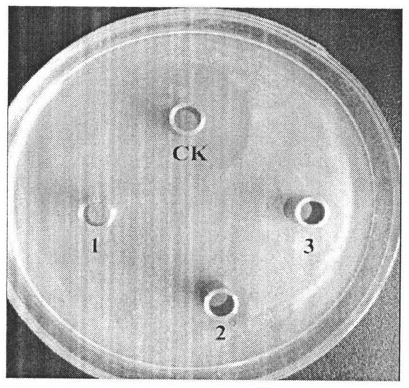 A strain of Enterococcus faecalis hew-a131 and its application