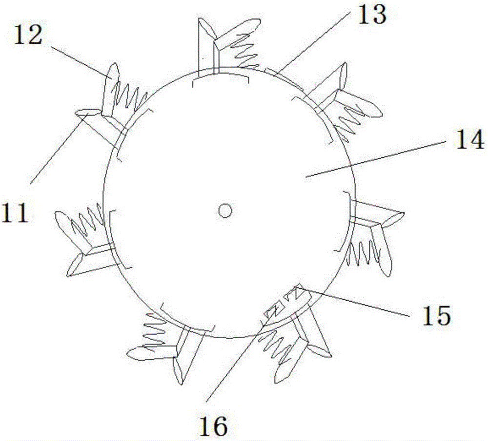 Buckwheat dibbling sowing mechanism