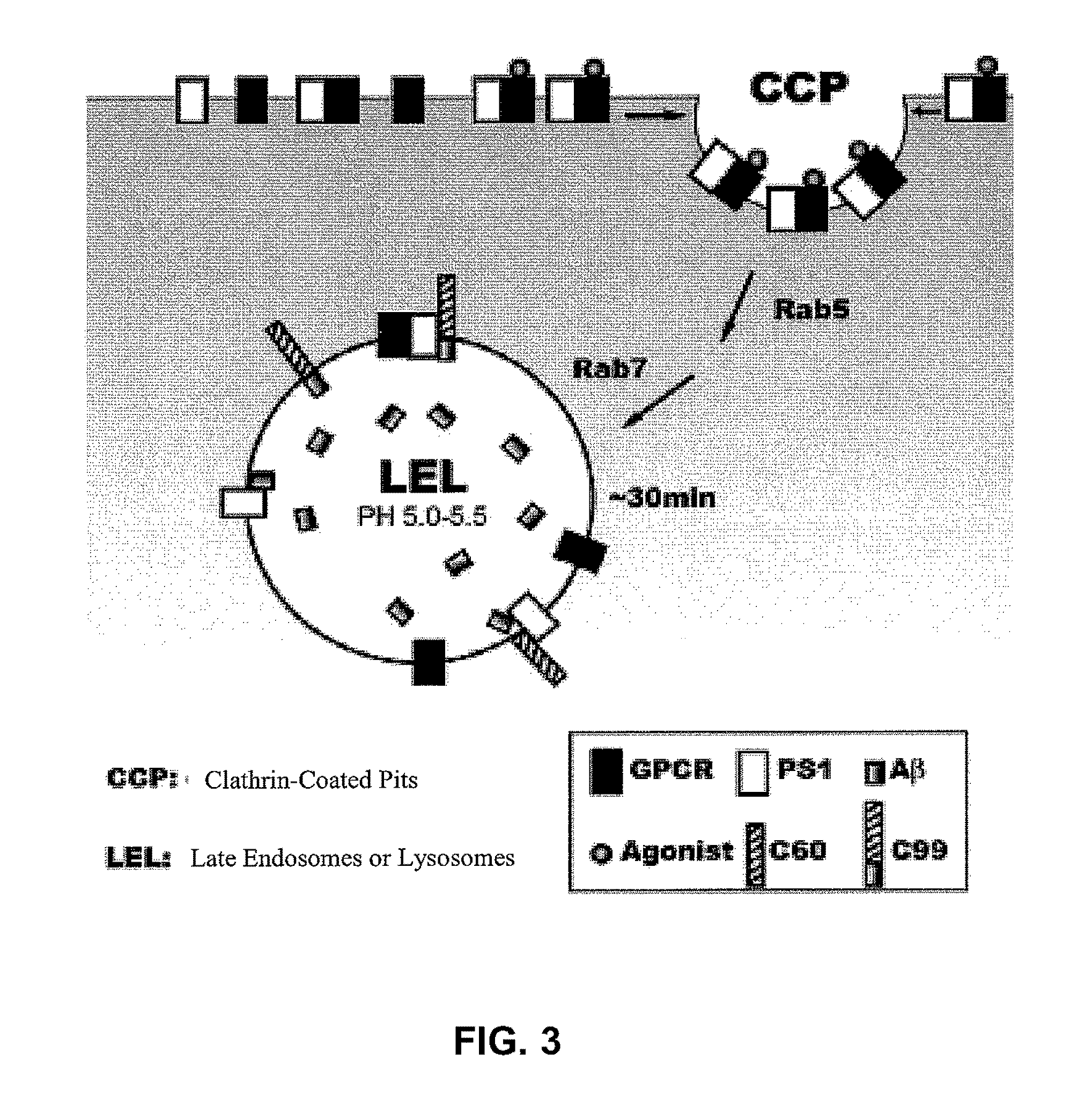 Screening G protein-coupled receptor antagonists for methods of treating Alzheimer's disease