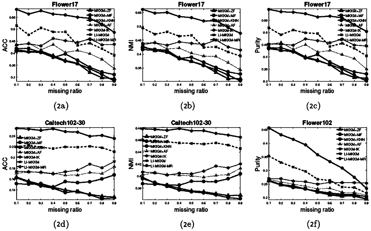 A machine learning method for locally missing multi-view clustering based on matrix-guided regularization