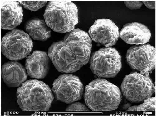 Implant comprising a calcium salt-containing composite powder having microstructred particles