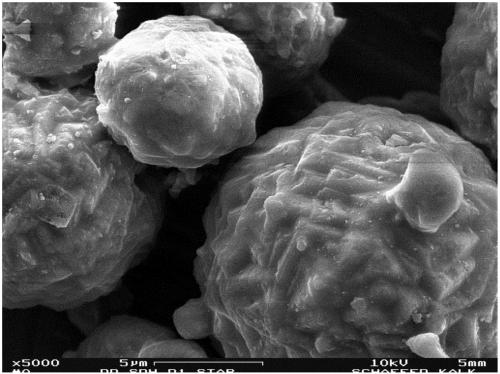 Implant comprising a calcium salt-containing composite powder having microstructred particles