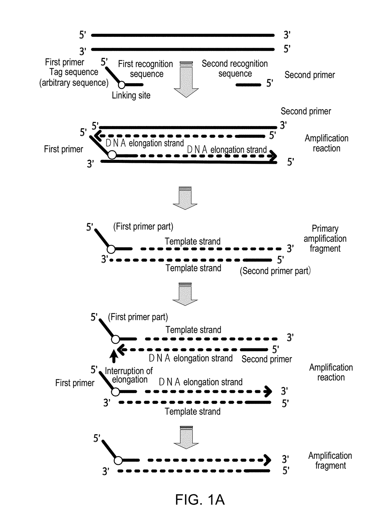 Method for Detecting Target Nucleic Acid