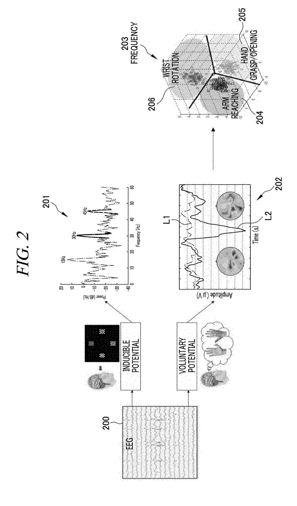 Brain computer interface (BCI) apparatus and method of generating control signal by bci apparatus