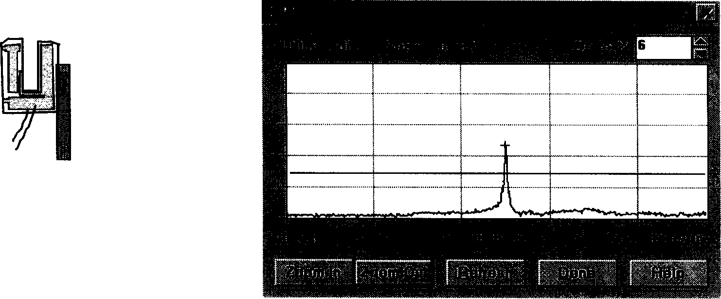 Fibre-optical probe with excellent vibration characteristic and producing method thereof