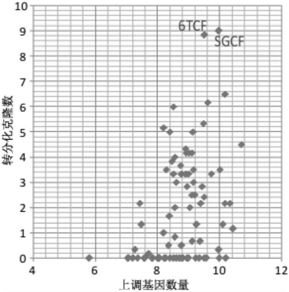 Method for inducing transdifferentiation of fibroblasts to nerve cells