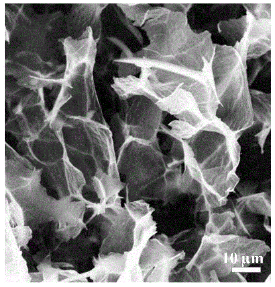 Preparation method and application of hydrogel electrode