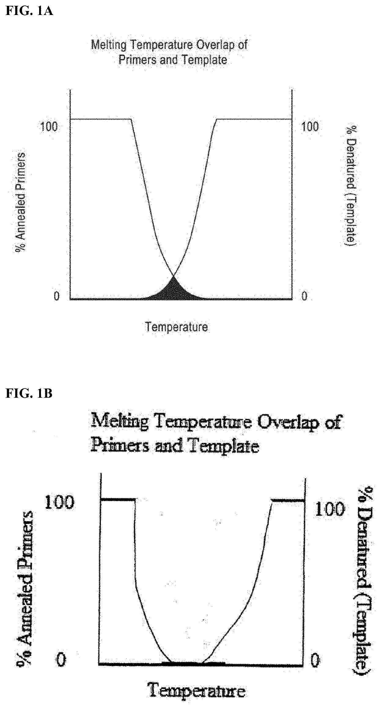 DNA amplification technology