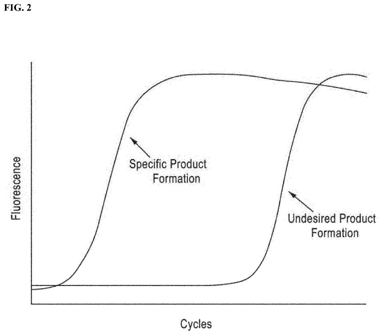 DNA amplification technology