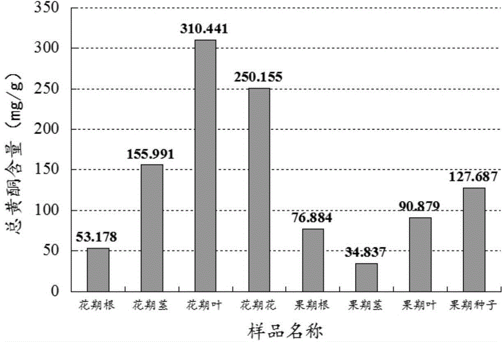 Detection method for three components including chlorogenic acid from leontopodium haplophylloides or processed product thereof