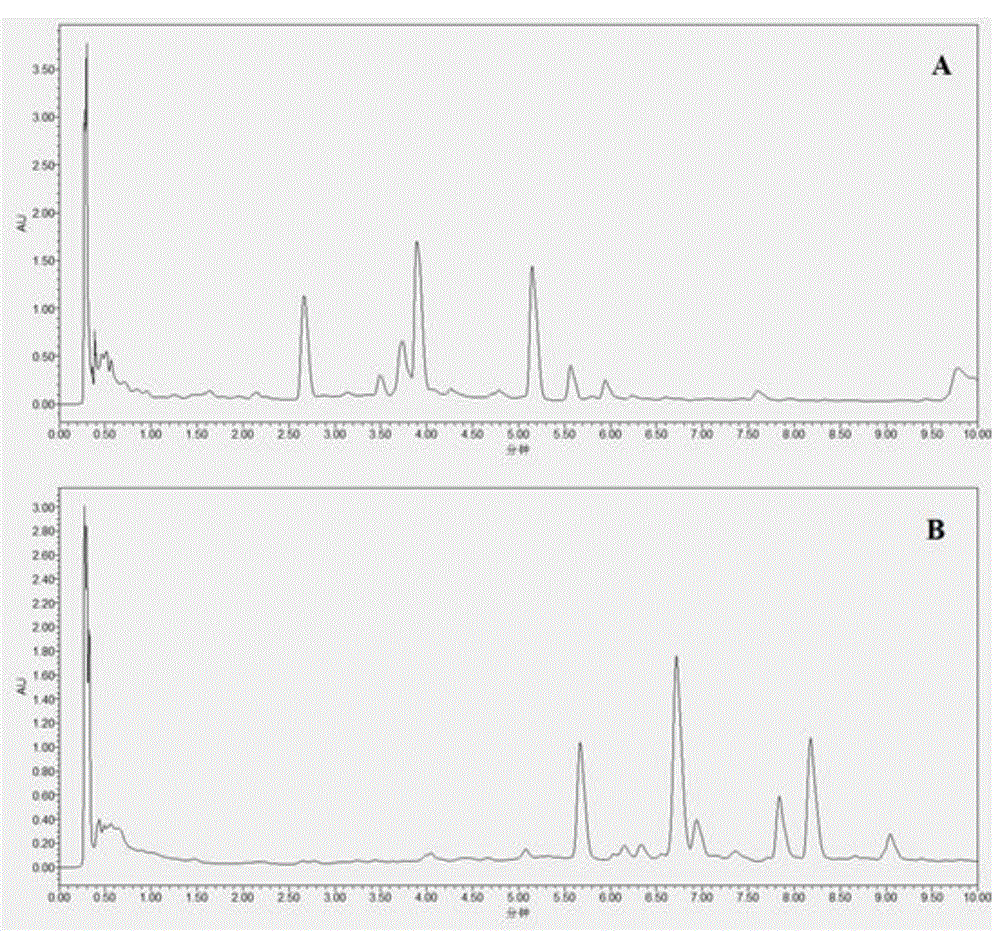 Detection method for three components including chlorogenic acid from leontopodium haplophylloides or processed product thereof