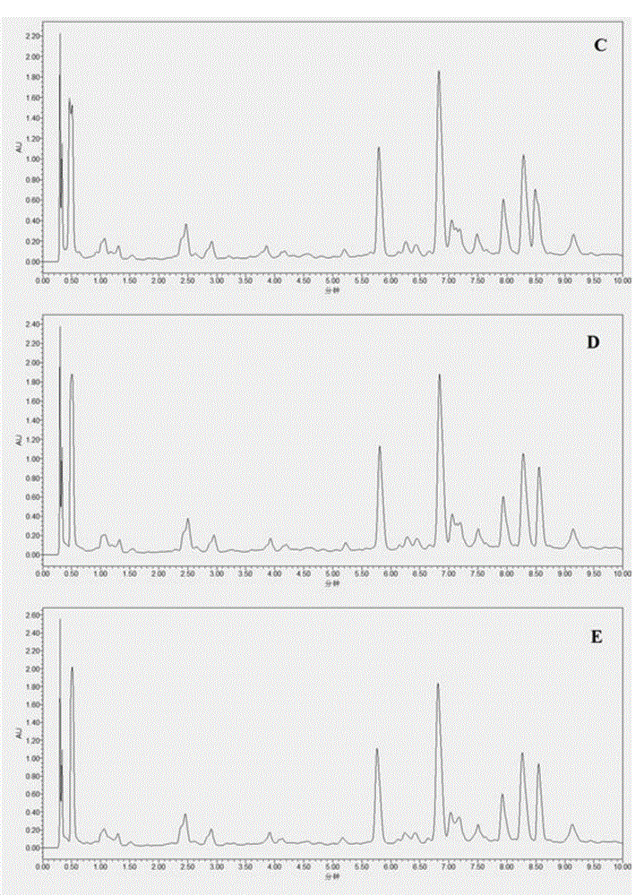 Detection method for three components including chlorogenic acid from leontopodium haplophylloides or processed product thereof