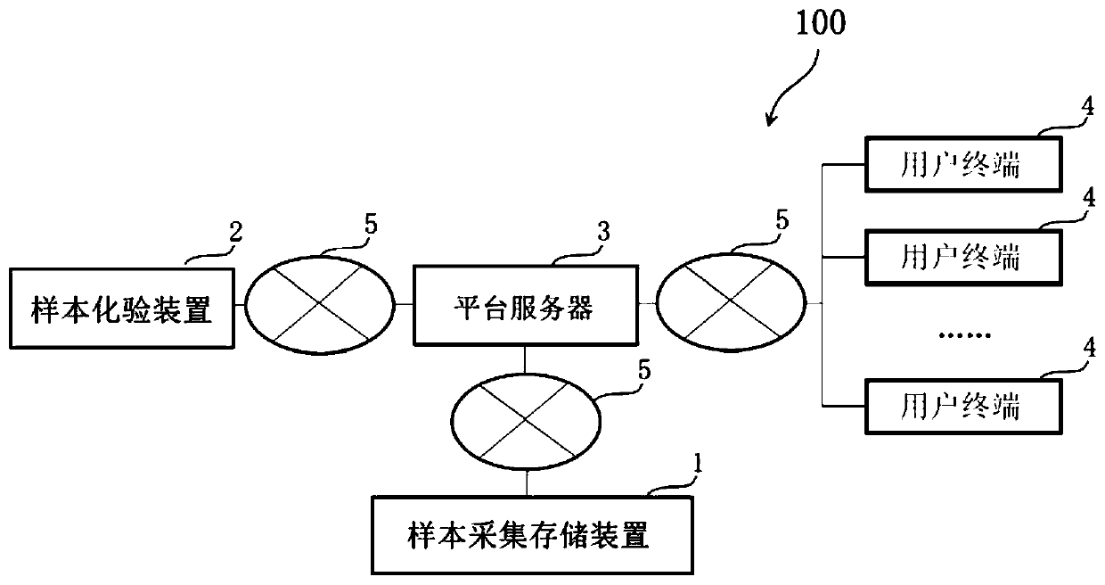 Tumor auxiliary diagnosis system based on circulating tumor cell detection