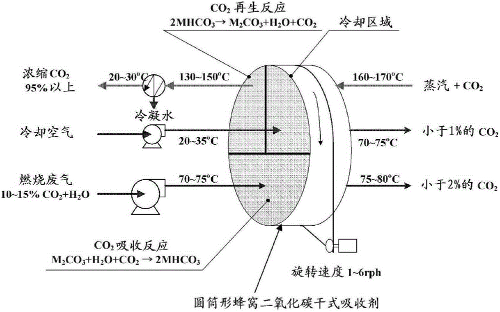 Solid carbon dioxide absorbent and method for removing and concentrating carbon dioxide using the same