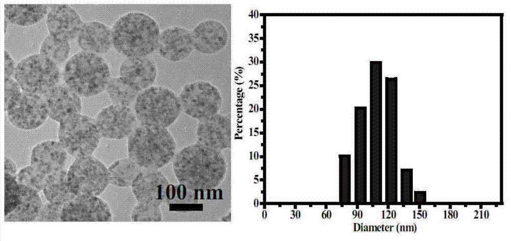 Composite functional nanosphere with polymer wrapping hydrophobic nano grains and preparation method of composite functional nanosphere