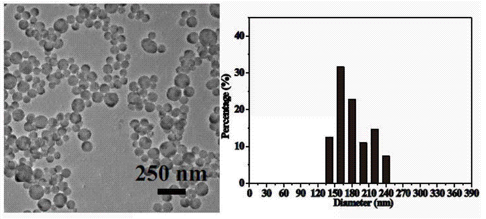 Composite functional nanosphere with polymer wrapping hydrophobic nano grains and preparation method of composite functional nanosphere