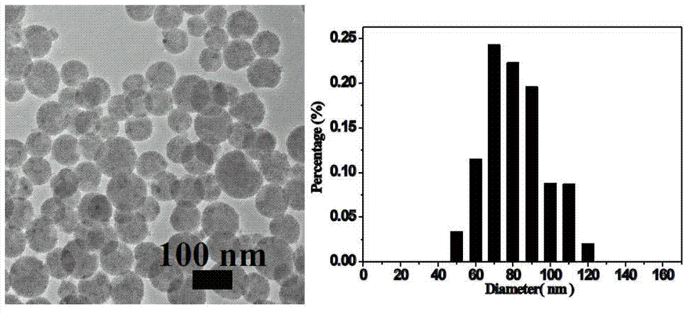 Composite functional nanosphere with polymer wrapping hydrophobic nano grains and preparation method of composite functional nanosphere